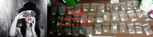 гидра Вязники