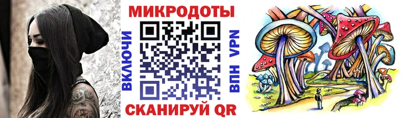 Купить закладки  Гаврилов-Ям  Псилоцибиновые грибы Cubensis 