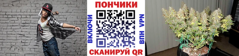 Шишки марихуана THC 21%  Купить закладки  Гаврилов-Ям 