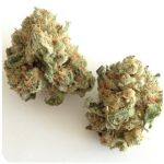 Шишки "White Widow"  (Белая вдова)  Гидропоника -  Бошка VHQ в Гаврилов-Яме
